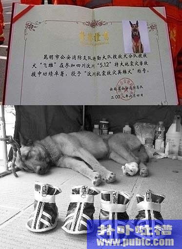 жйȻµһĻͼ