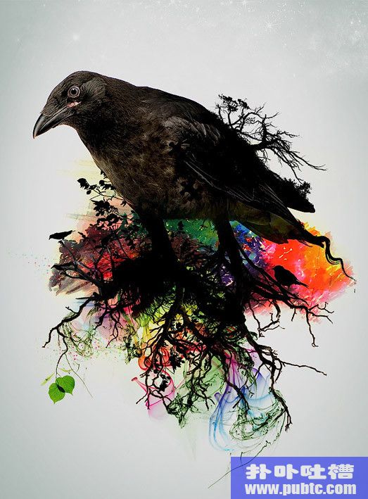 ink bird by hangloose