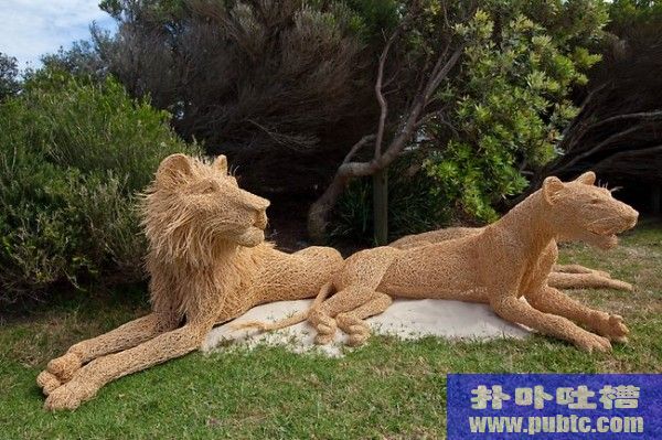 Ϥảչʨ