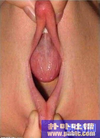 ж˻ῴ