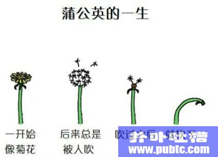 аںͼ˾һѹӢ