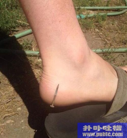 2014810224314278.jpg