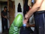 ڵĻƹϳԽԽа