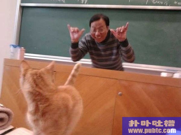 Ц