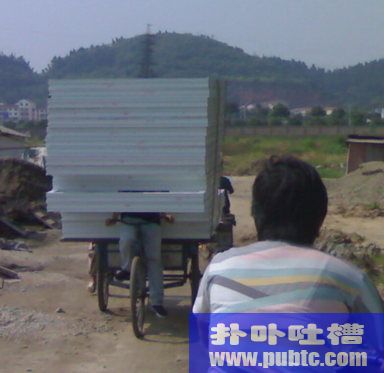 磬ˣ㲻ǳŶ