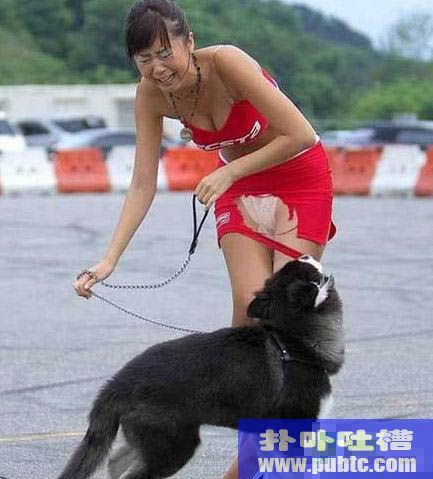 湻ɫĹ