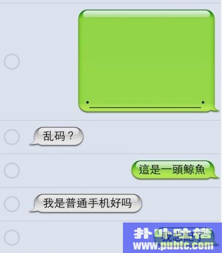 ͼƬ iPhoneɰȫ(2/7)