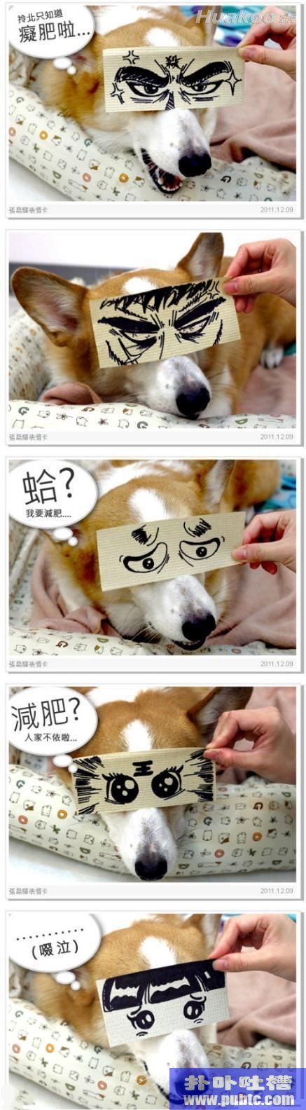 ͼЦ緹ˣ