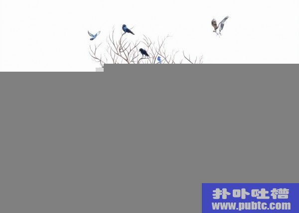50ųĻ滭ͼƬ(7/13)