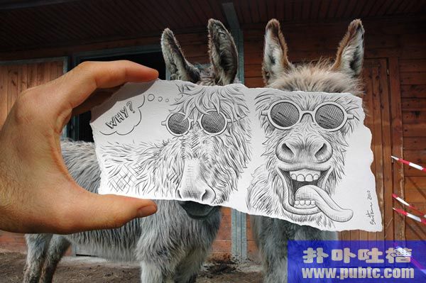 ȤĻ滭