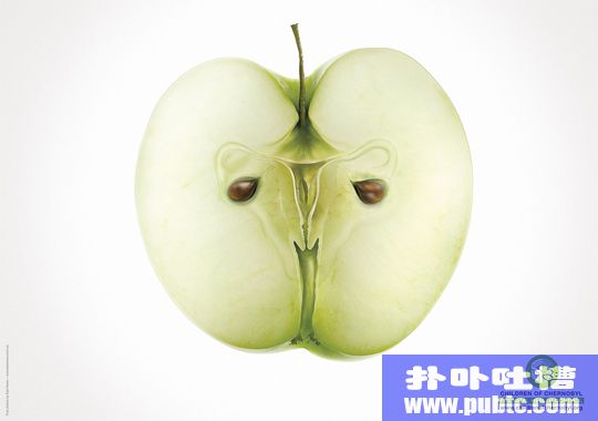 ͼƬͣ21