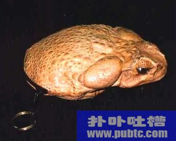 дǮ ܱ