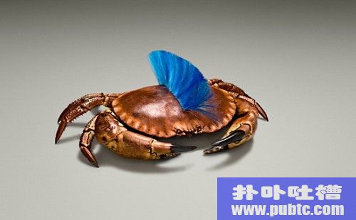 4780845047 5574dd6400 z 60 Visionary Examples of Creative Photography #2