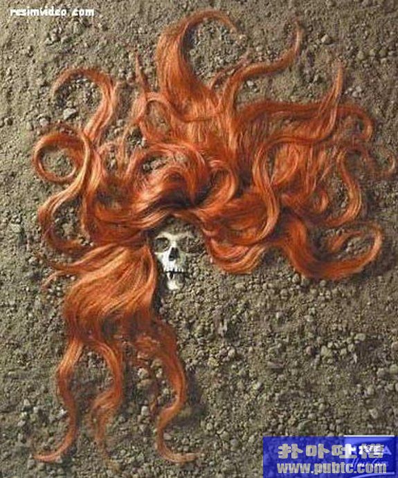 40 Extremely Creative Advertisements I have Ever Seen
