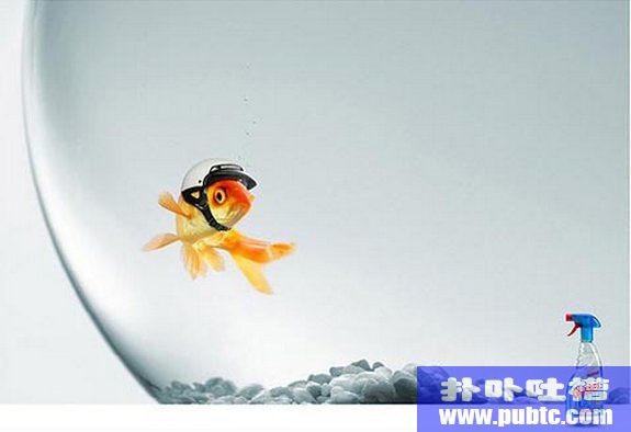 40 Extremely Creative Advertisements I have Ever Seen