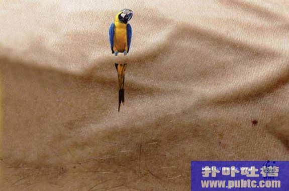 40 Extremely Creative Advertisements I have Ever Seen