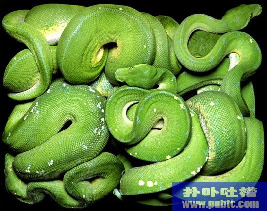 Dangres