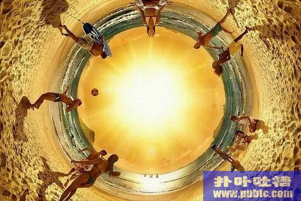 Amazing Photo Moments