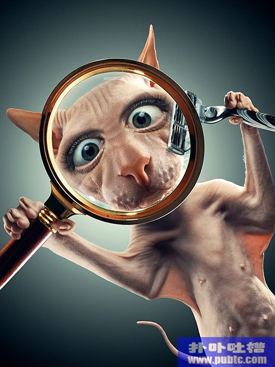 ̾ȤζͼƬ