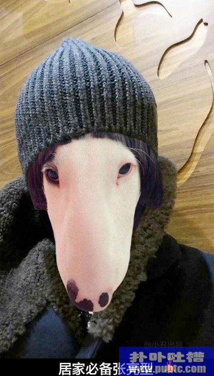 Ȯϵ