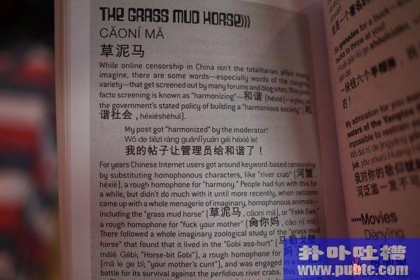 Dirty Chinese