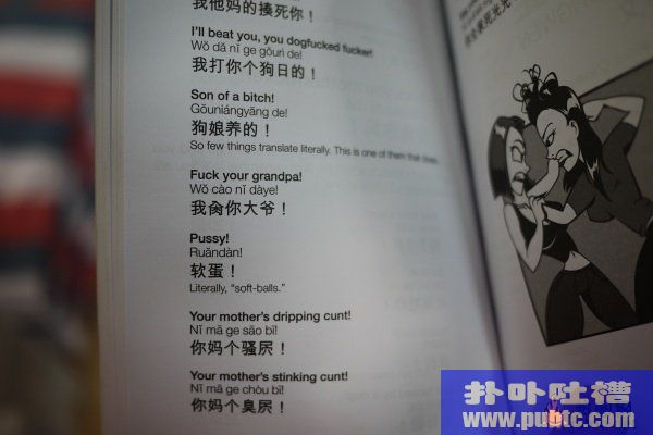 Dirty Chinese