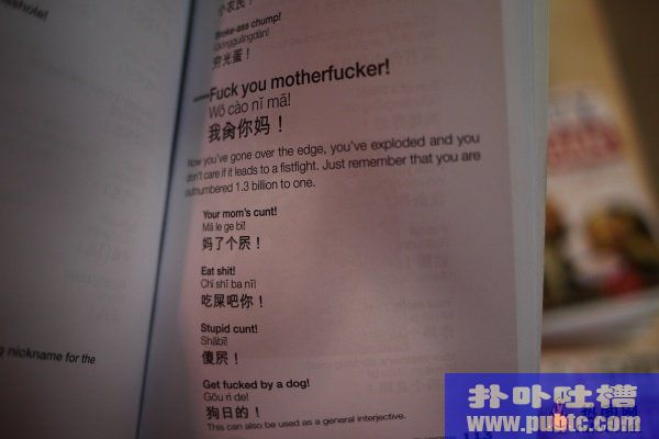 Dirty Chinese