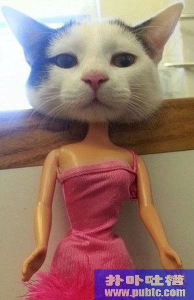 ҸԸ
