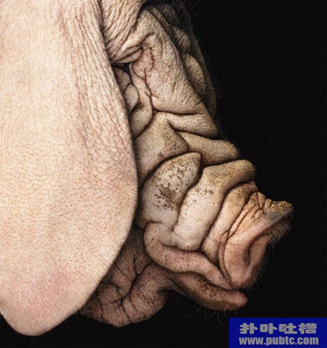 ͷͼƬ2