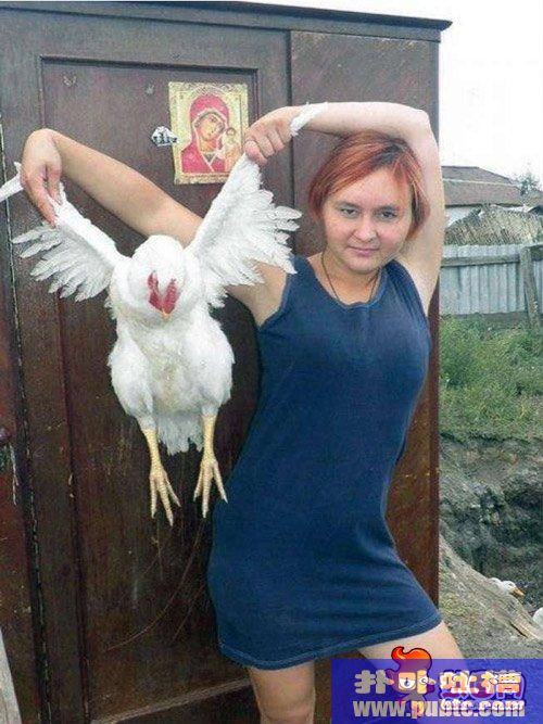 ̫˼ȸЦ