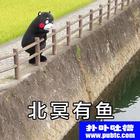 ڤΪ