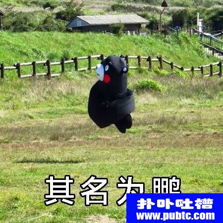 ڤΪ