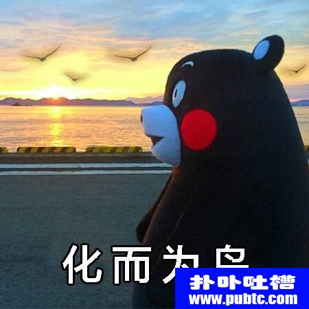 ڤΪ