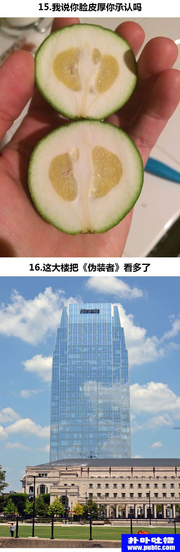 һȤͼƬ