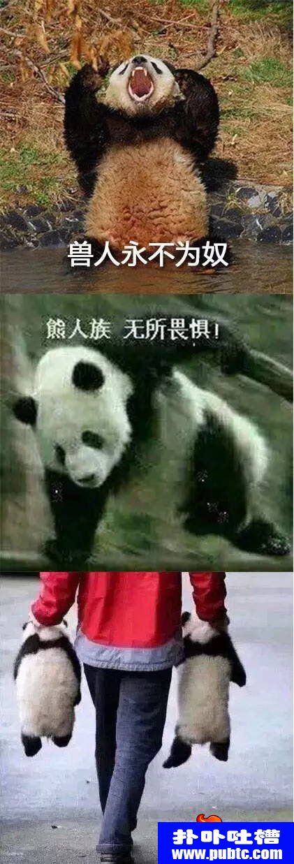 Ƕϵ