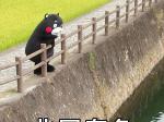 ڤΪ ֮һ