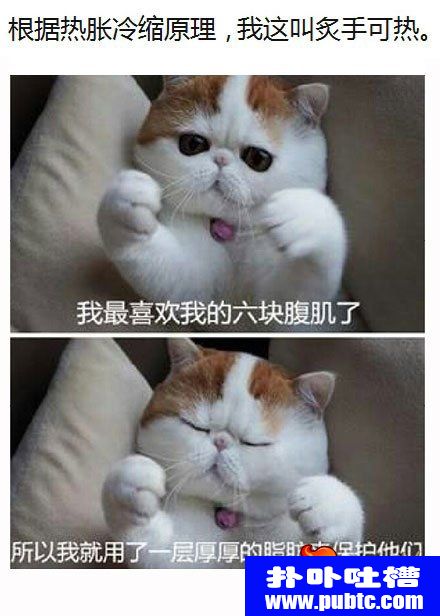 ˵ظ