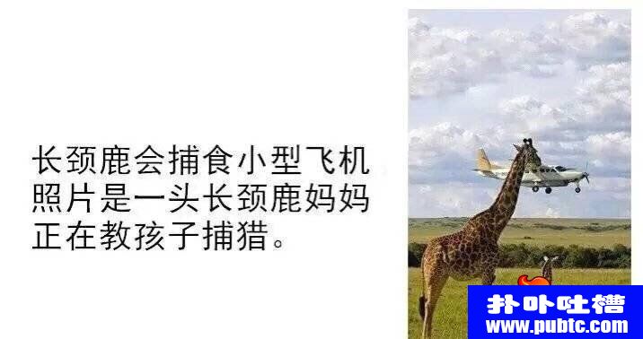 һ˵˵ͼƬ