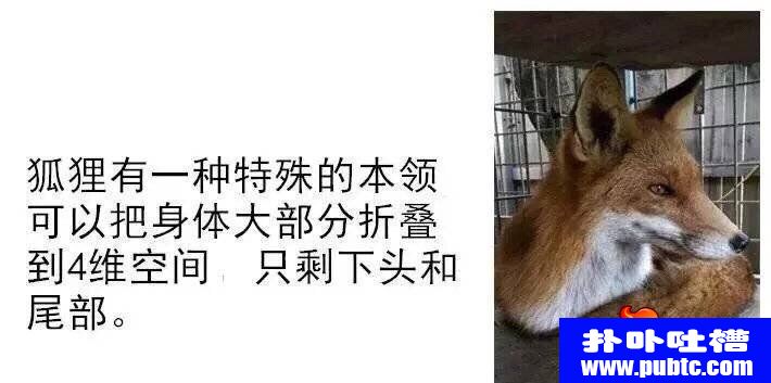 һ˵˵ͼƬ