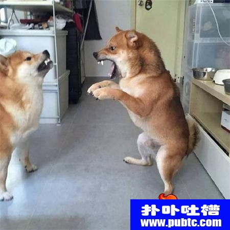 ʱı