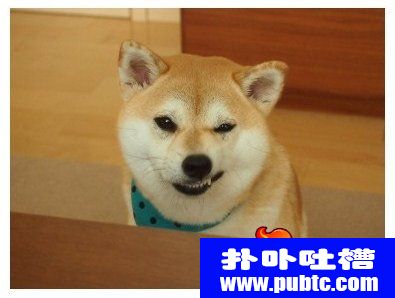 ʱı
