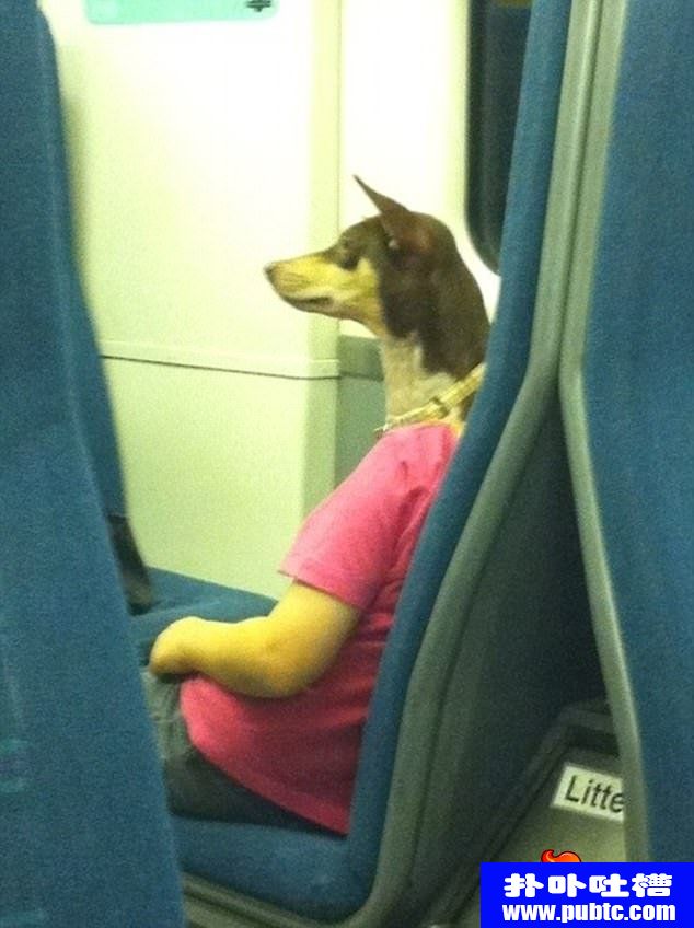 λƬͼƬȫ