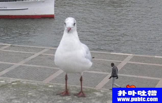 λƬͼƬȫ