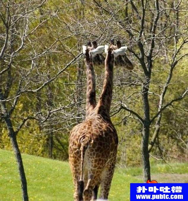 λƬͼƬȫ