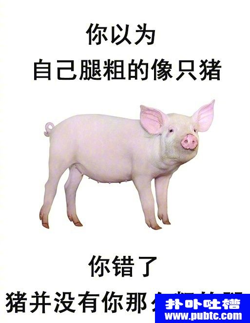 ľŴ