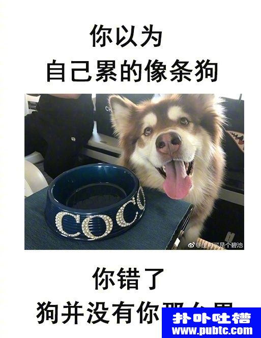 ľŴ