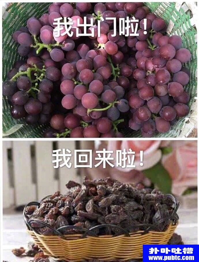 ǰźЦͼƬ