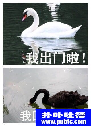 ǰźЦͼƬ