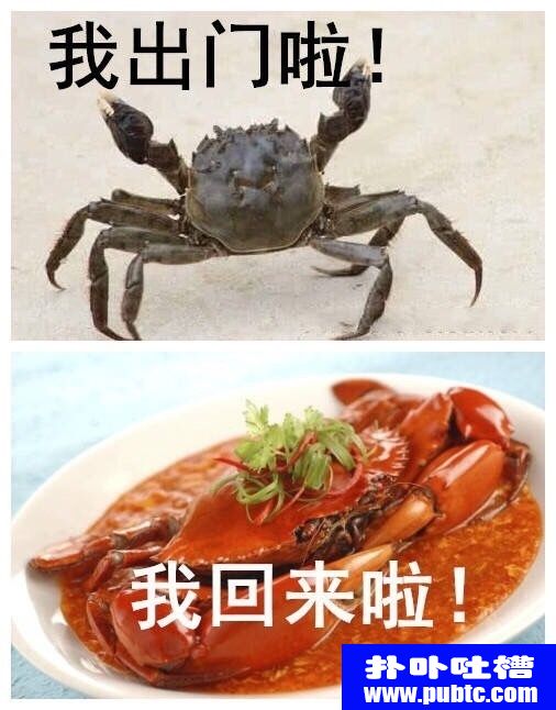 ǰźЦͼƬ