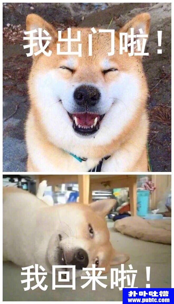 ǰźЦͼƬ
